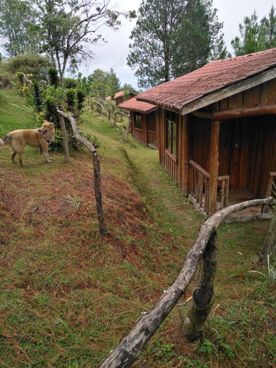 Cabanas Don Camilo Albergue De Montana Cabecera de Canas Esterno foto