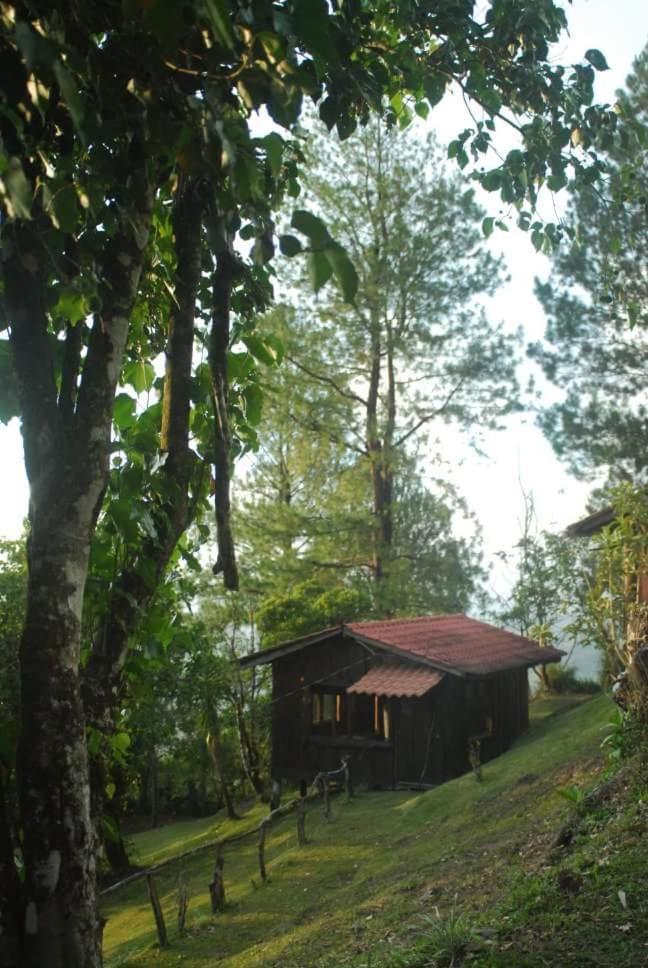 Cabanas Don Camilo Albergue De Montana Cabecera de Canas Esterno foto